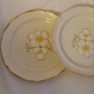 Eterna Bistro Stoneware Amsterdam vintage snack plates floral design